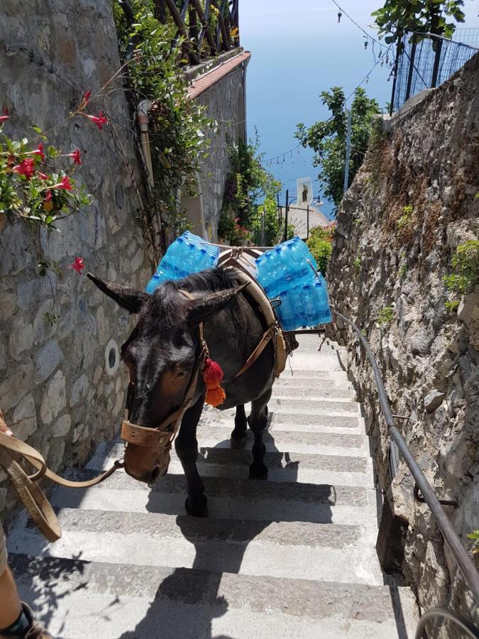 Estate4Home - Goat Path Positano Exterior foto